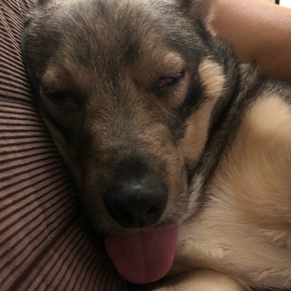 Meet your Posher, Sherida - Picture 3 of 9